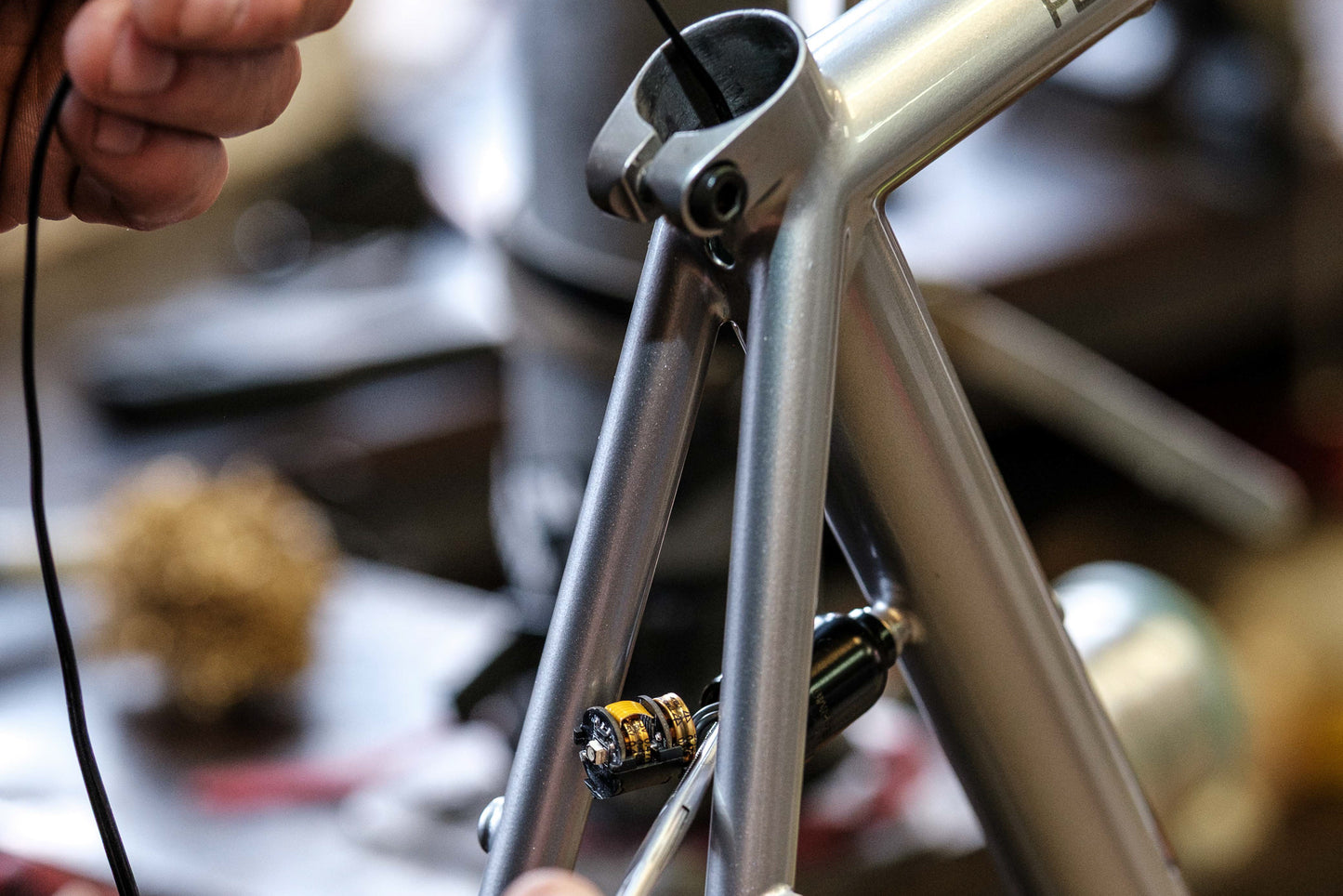 Allygn EdelMü M6 Direct Mount