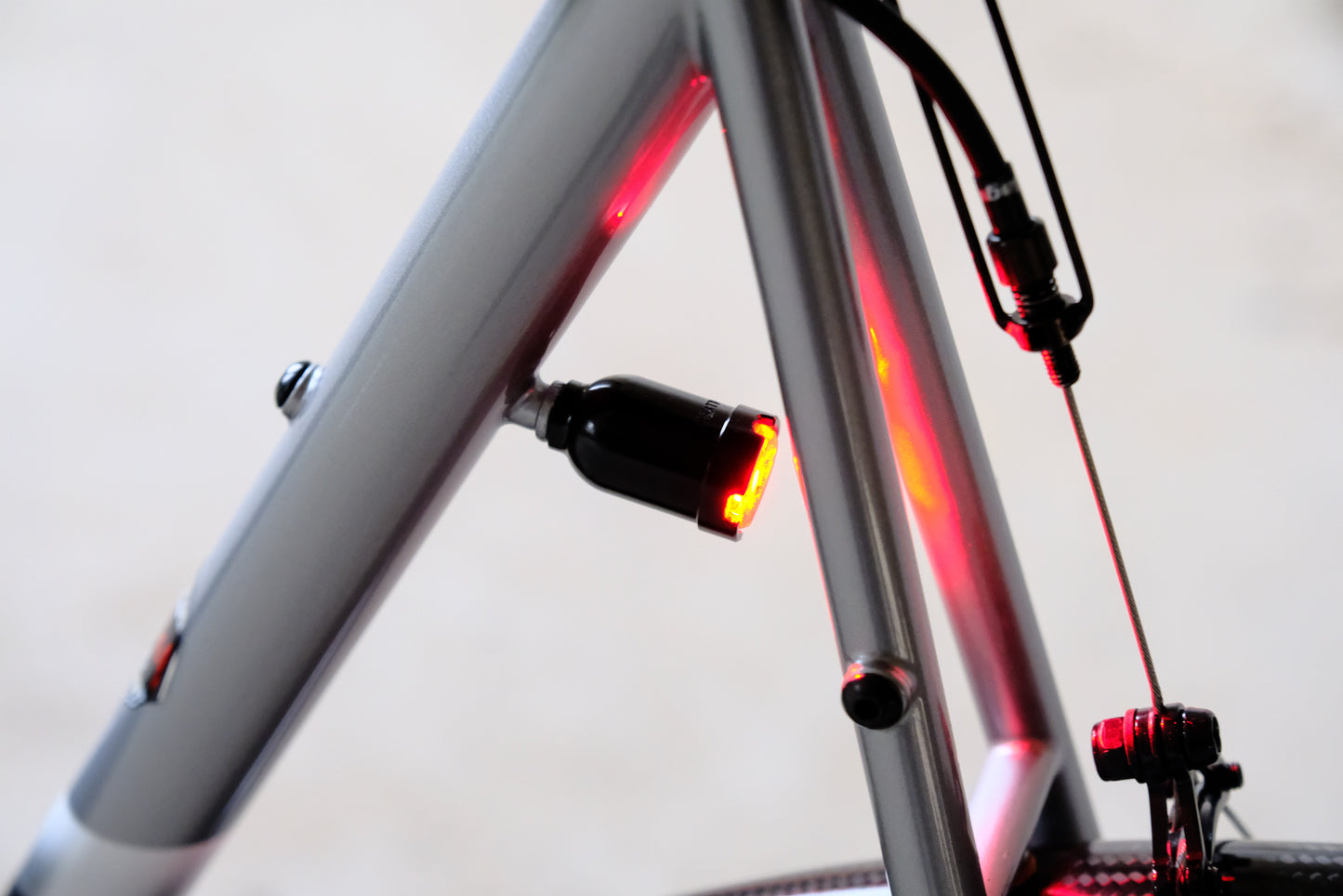 Allygn EdelMü M6 Direct Mount