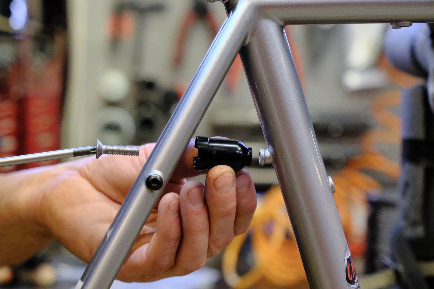 Allygn EdelMü M6 Direct Mount