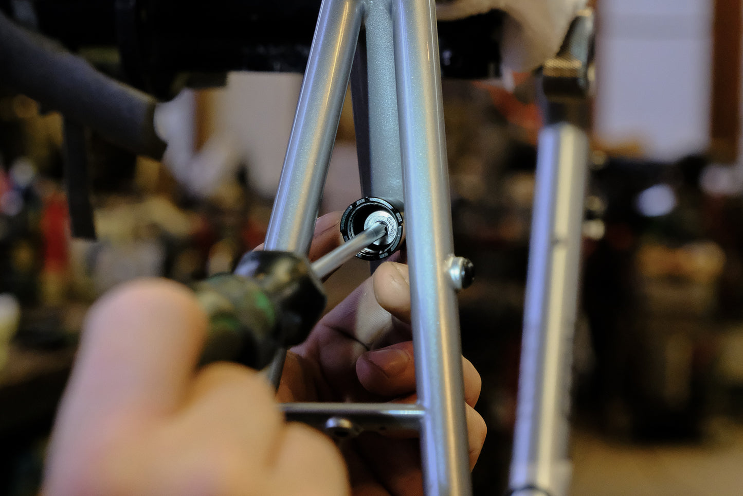 Allygn EdelMü M6 Direct Mount